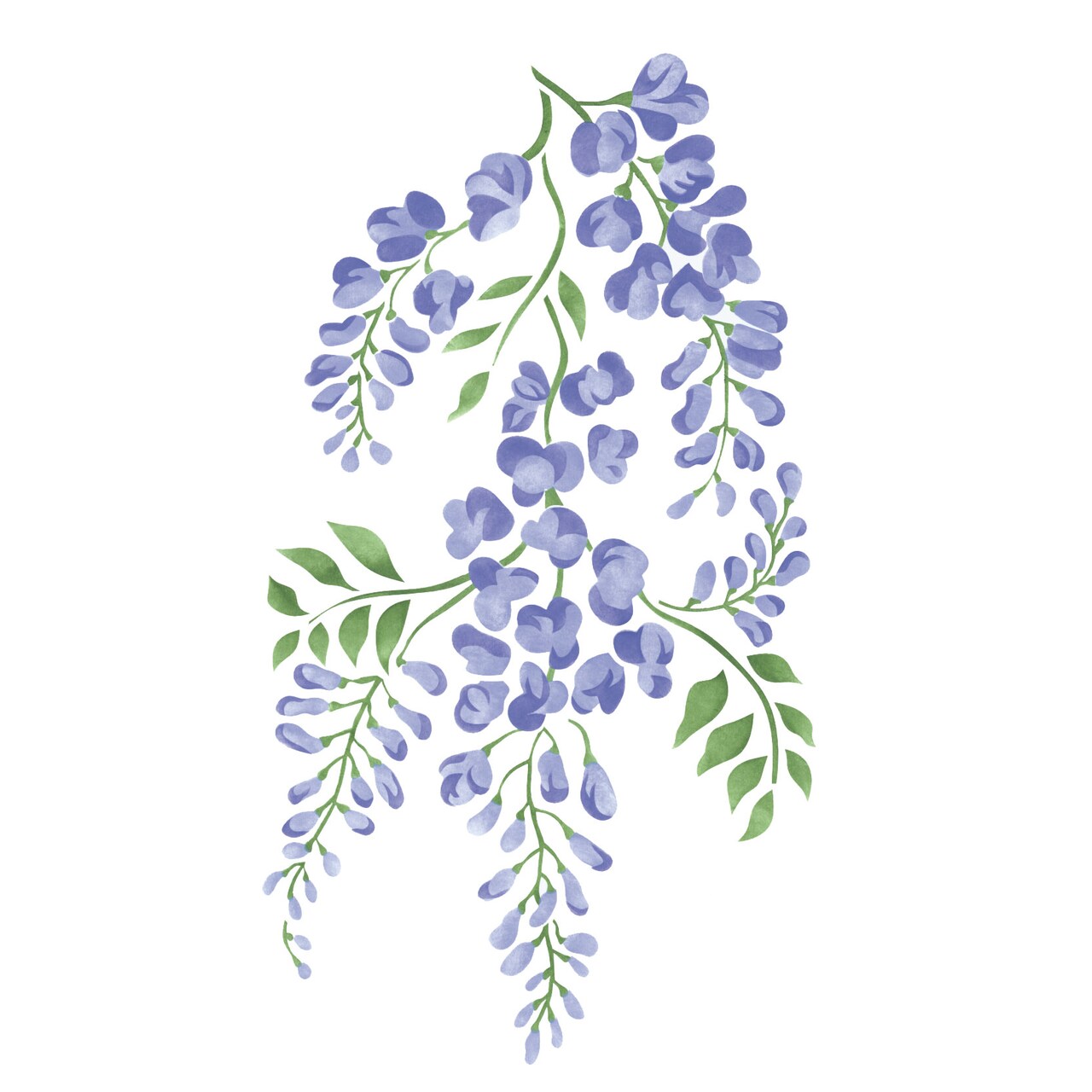 Small Wisteria Wisp Wall Stencil | 2412 by Designer Stencils | Floral Stencils | Reusable Art Craft Stencils for Painting on Walls, Canvas, Wood | Reusable Plastic Paint Stencil for Home Makeover | Easy to Use & Clean Art Stencil